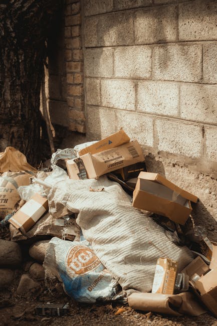 CR8 household rubbish clearance tips near Purley Station